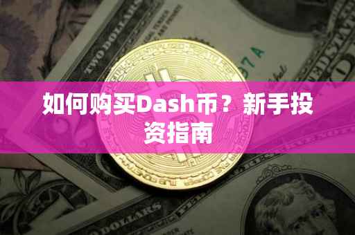 如何购买Dash币?新手投资指南