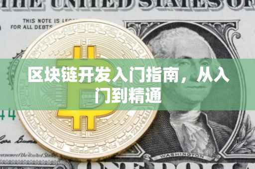 区块链开发入门指南,从入门到精通