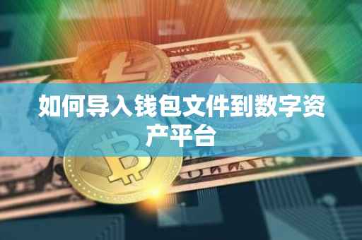 如何导入钱包文件到数字资产平台