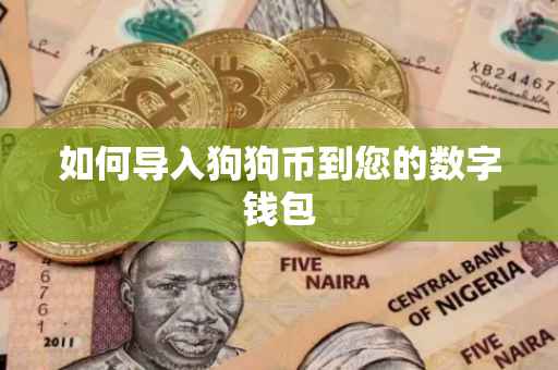 如何导入狗狗币到您的数字钱包