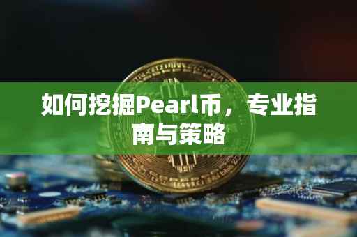 如何挖掘Pearl币，专业指南与策略