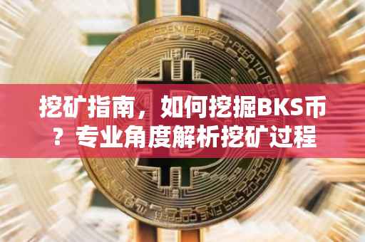 挖矿指南，如何挖掘BKS币？专业角度解析挖矿过程