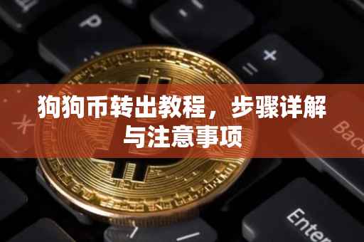 狗狗币转出教程，步骤详解与注意事项