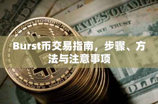Burst币交易指南，步骤、方法与注意事项
