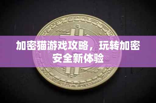 加密猫游戏攻略，玩转加密安全新体验