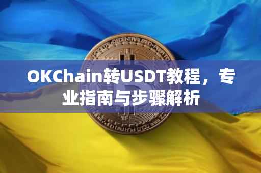 OKChain转USDT教程，专业指南与步骤解析