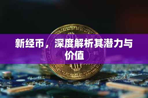 新经币,深度解析其潜力与价值