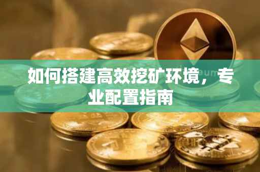 如何搭建高效挖矿环境,专业配置指南