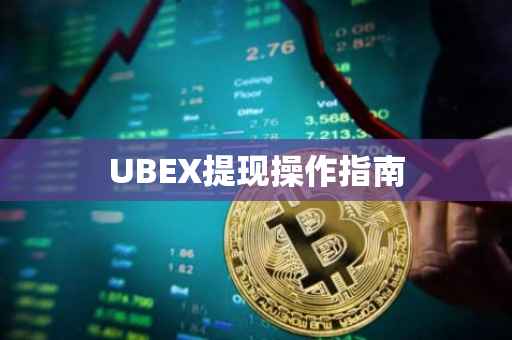 UBEX提现操作指南