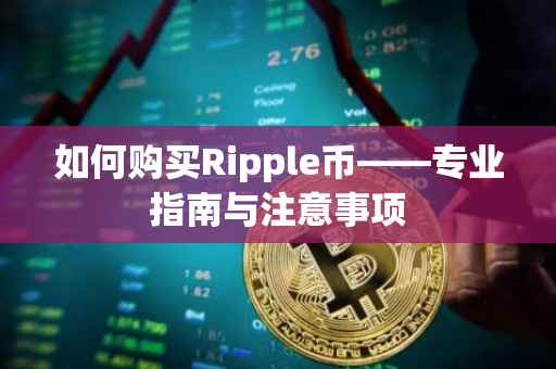 如何购买Ripple币——专业指南与注意事项