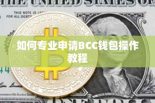 如何专业申请BCC钱包操作教程