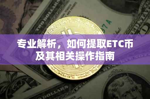 专业解析，如何提取ETC币及其相关操作指南