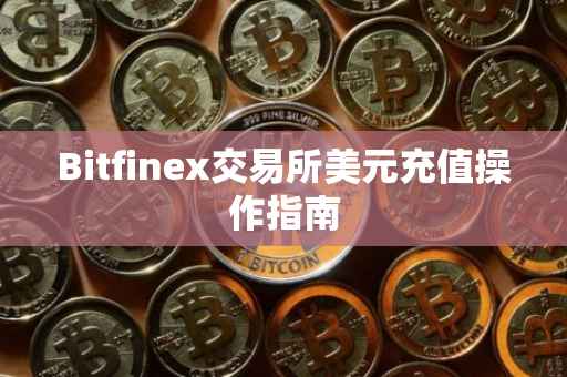 Bitfinex交易所美元充值操作指南