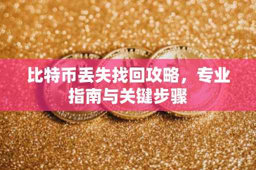 比特币丢失找回攻略，专业指南与关键步骤
