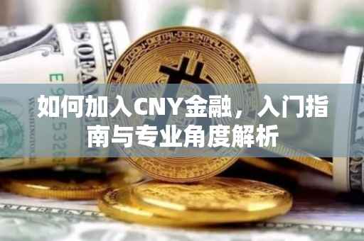 如何加入CNY金融,入门指南与专业角度解析