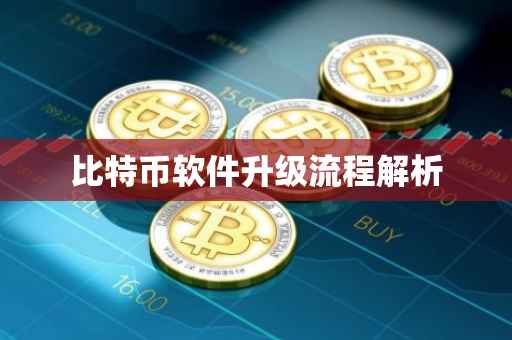 比特币软件升级流程解析