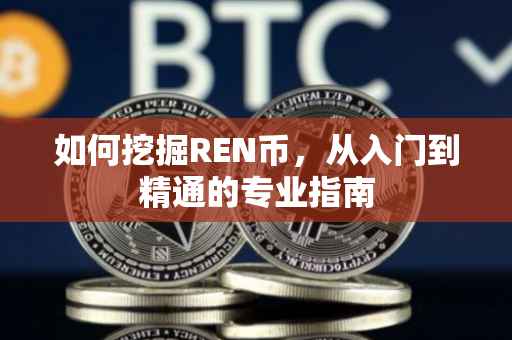 如何挖掘REN币，从入门到精通的专业指南