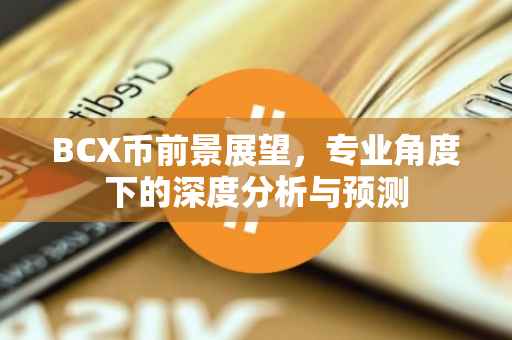 BCX币前景展望，专业角度下的深度分析与预测