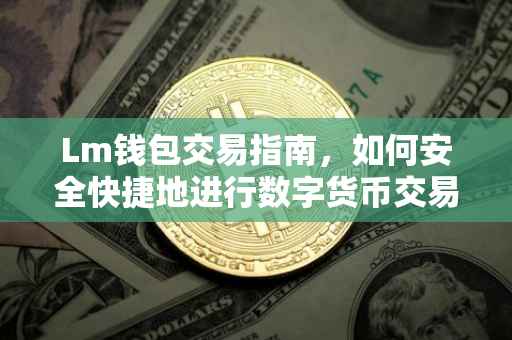 Lm钱包交易指南，如何安全快捷地进行数字货币交易