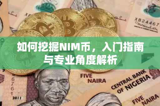 如何挖掘NIM币,入门指南与专业角度解析