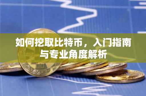 如何挖取比特币，入门指南与专业角度解析