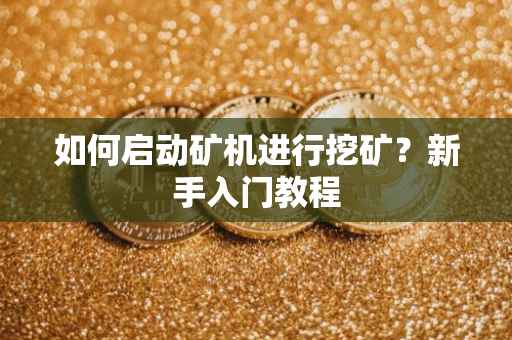如何启动矿机进行挖矿？新手入门教程