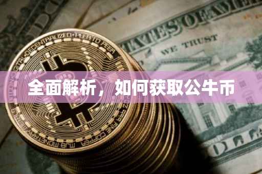 全面解析，如何获取公牛币