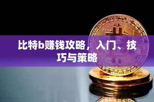 比特b赚钱攻略，入门、技巧与策略