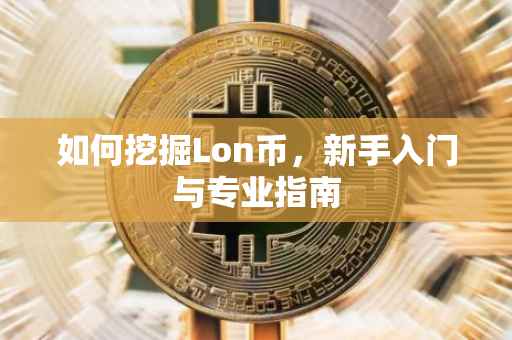 如何挖掘Lon币，新手入门与专业指南