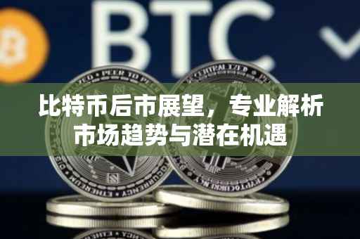 比特币后市展望，专业解析市场趋势与潜在机遇