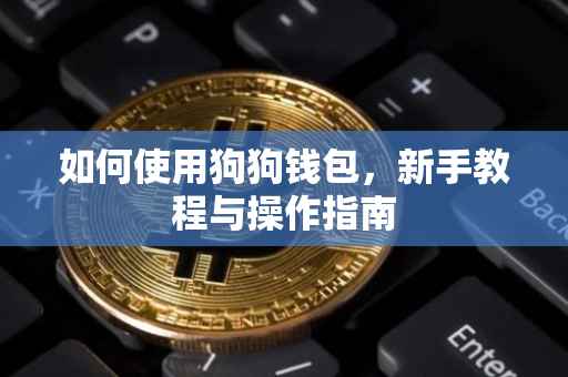 如何使用狗狗钱包，新手教程与操作指南