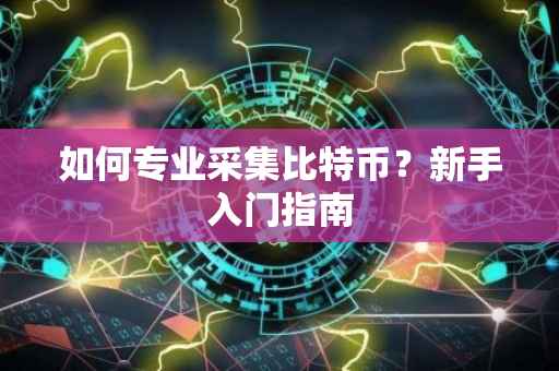 如何专业采集比特币？新手入门指南