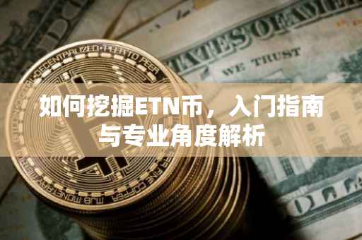 如何挖掘ETN币，入门指南与专业角度解析