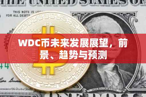 WDC币未来发展展望，前景、趋势与预测