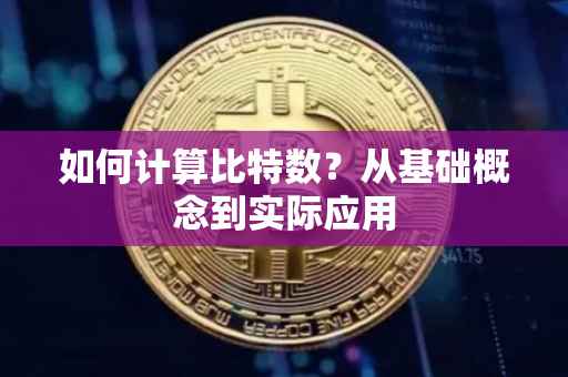 如何计算比特数？从基础概念到实际应用