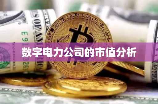 数字电力公司的市值分析