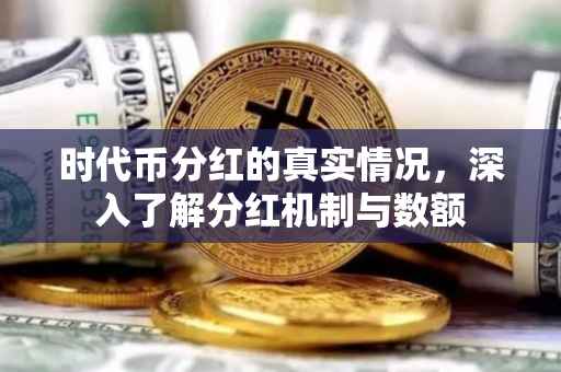 时代币分红的真实情况，深入了解分红机制与数额