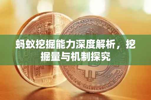 蚂蚁挖掘能力深度解析，挖掘量与机制探究