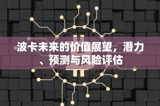 波卡未来的价值展望，潜力、预测与风险评估