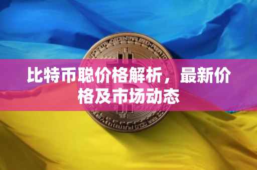比特币聪价格解析，最新价格及市场动态