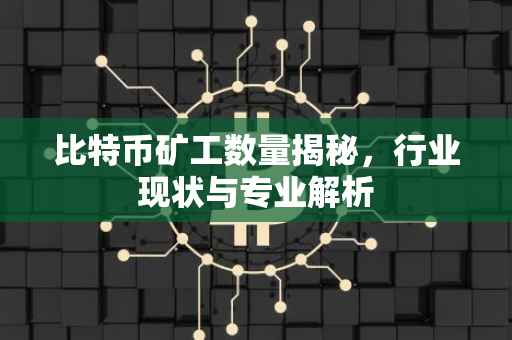 比特币矿工数量揭秘，行业现状与专业解析