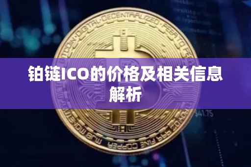 铂链ICO的价格及相关信息解析