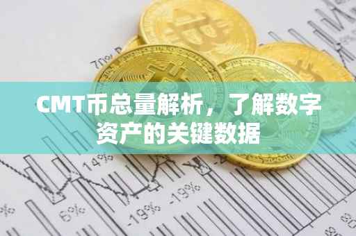 CMT币总量解析，了解数字资产的关键数据