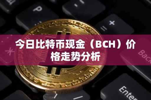 今日比特币现金（BCH）价格走势分析
