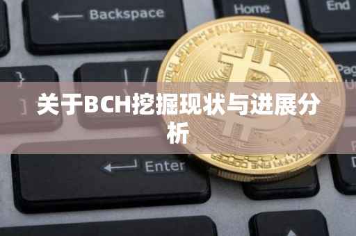关于BCH挖掘现状与进展分析