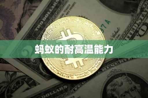 蚂蚁的耐高温能力