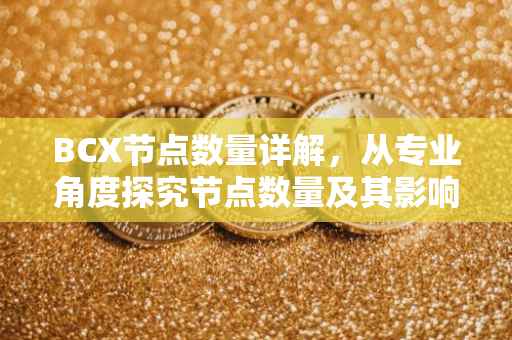 BCX节点数量详解，从专业角度探究节点数量及其影响因素