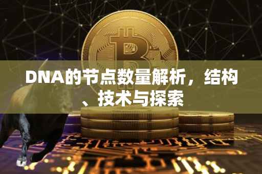 DNA的节点数量解析，结构、技术与探索
