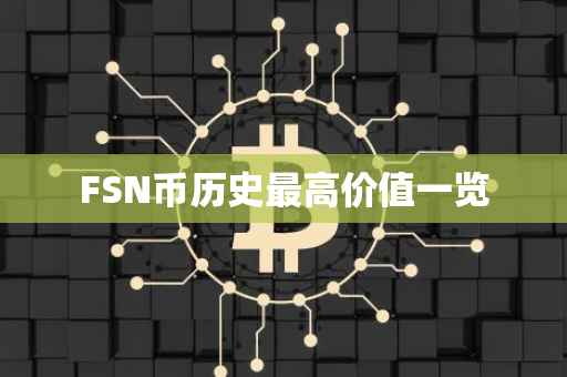 FSN币历史最高价值一览