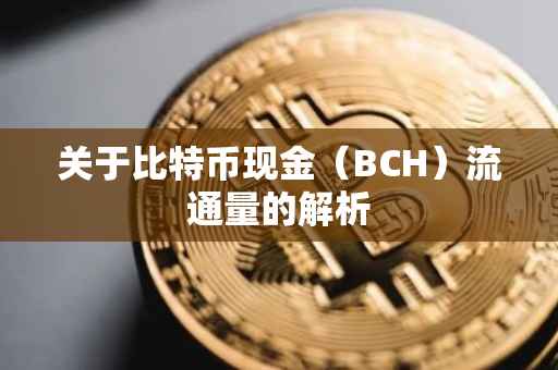 关于比特币现金（BCH）流通量的解析
